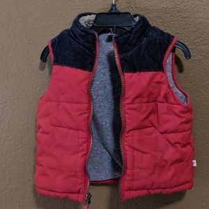 Red and Blue Puffer Vest